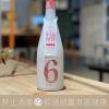 2021 新政 NUMBER 6 X-type